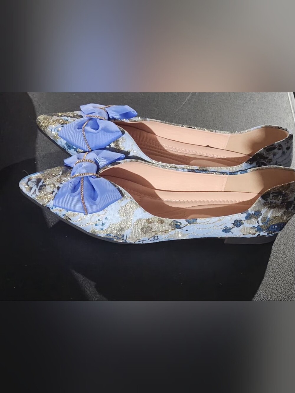 Hxlber Embroidered Pointed Toe Slip Ons Size 255 Asian, US 8.5